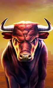 Black Bull